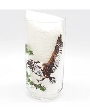 Vtg Burger Chef Glass Bald Eagle 1978 Collectors Endangered Species Tumbler